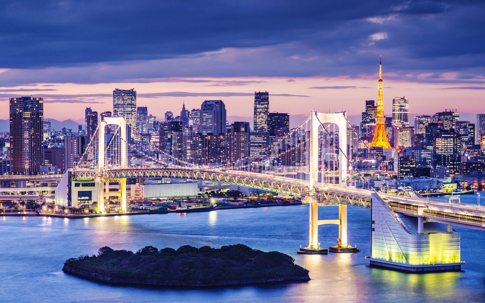 Tokyo cityscape with Tokyo Tower